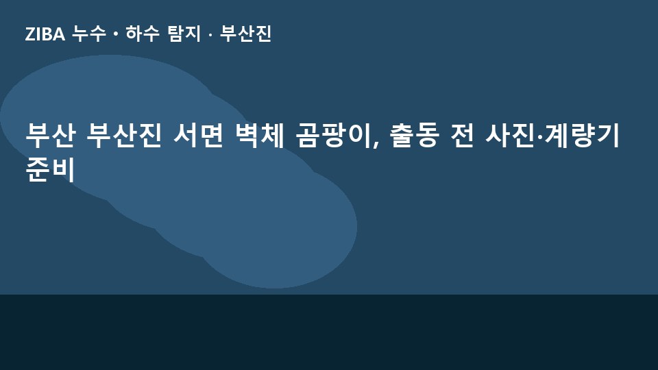 부산 부산진 서면 벽체 곰팡이, 출동 전 사진·계량기 준비