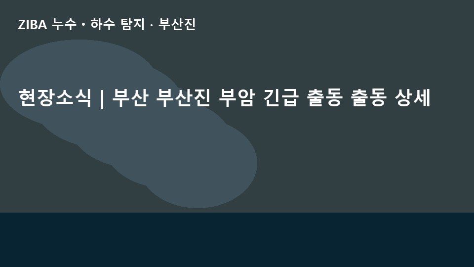 현장소식 | 부산 부산진 부암 긴급 출동 출동 상세