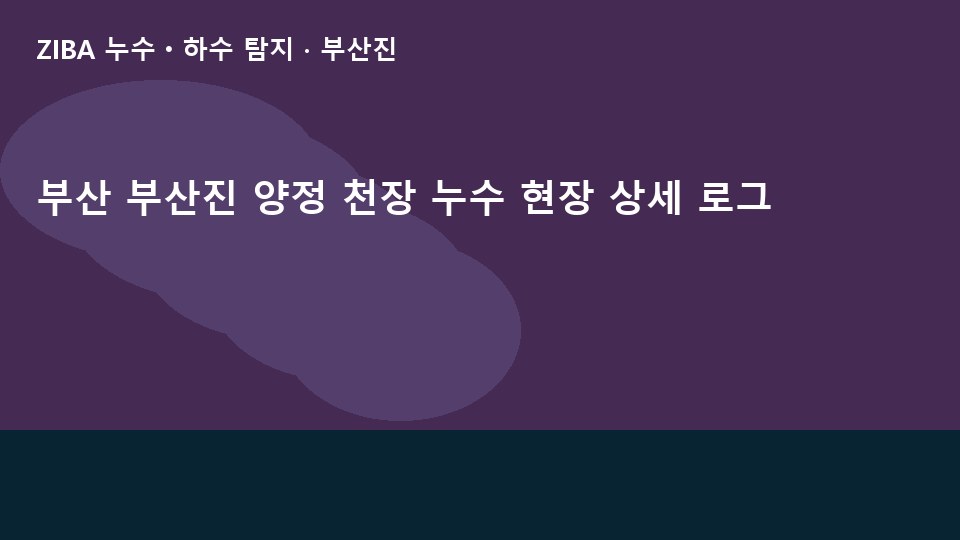 부산 부산진 양정 천장 누수 현장 상세 로그