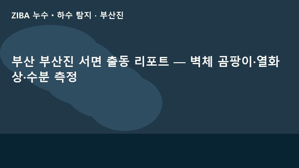 부산 부산진 서면 출동 리포트 — 벽체 곰팡이·열화상·수분 측정